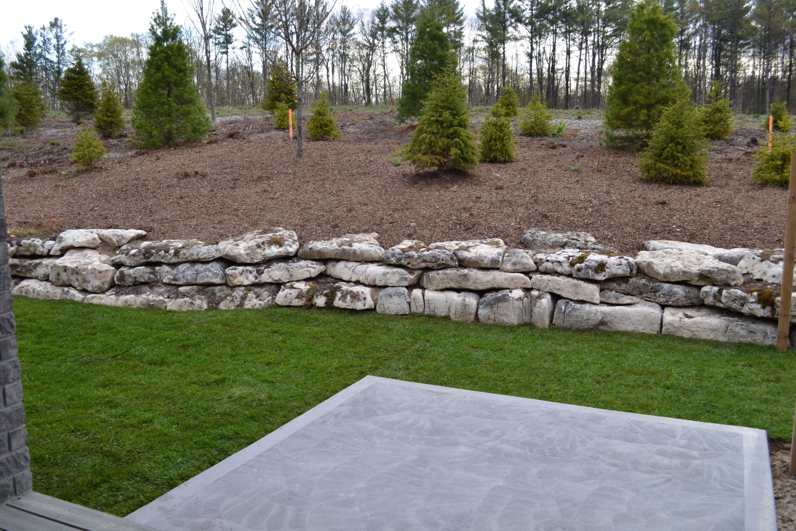 stone and evergreen landscaping